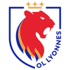 里昂女足 队徽